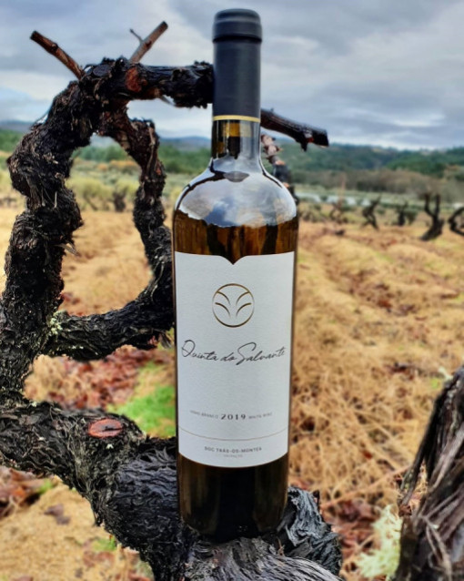 Garrafa Vinho Branco 75cl Quinta do Salvante RESERVA 2020