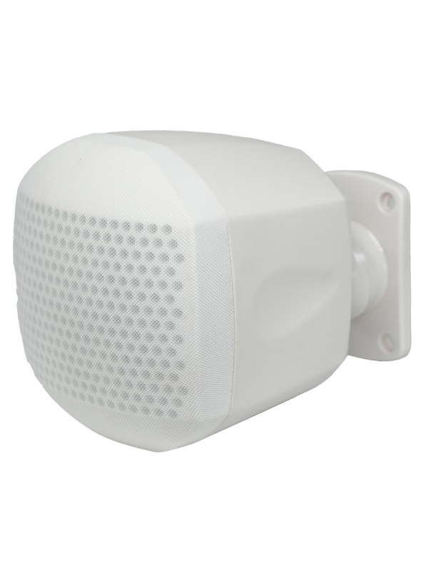 Altifalage du plafond - Altifier complet de la plage 4 "- 70 V / 100 V - Sensibilité 83DB - Intervalle 120 Hz - 20 kHz - Couverture de tissu