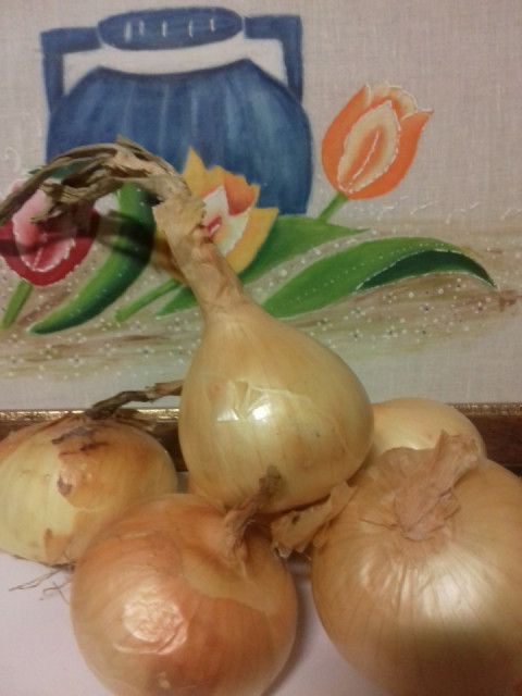 Cebola de Trás-Os-Montes (preço por 1Kg)