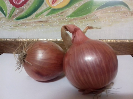 Cebola Roxa de Trás-Os-Montes (preço por 500g)