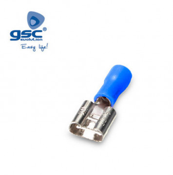 000303625 - 8433730362533BOLS 50U FLIGHT FLIGHT Plug -in 7.4/2.5mm Blue