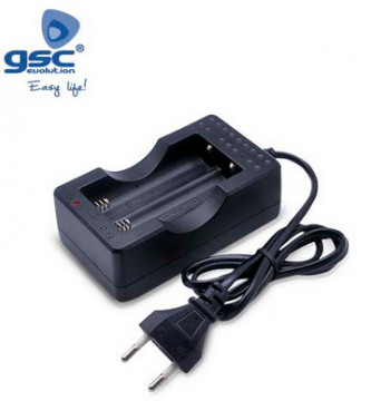 009000188 - 8436039201880 PLACEMENT POUR 2 Batteries Readagable 18650