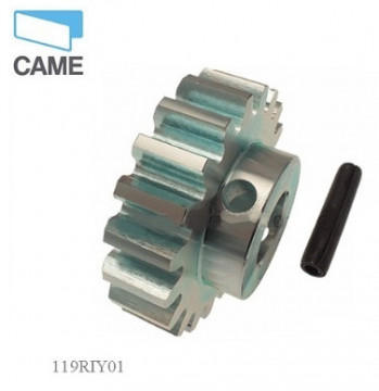 119RIY010 - 8050456046895 - RITZEL M=4 Z=20 BX
