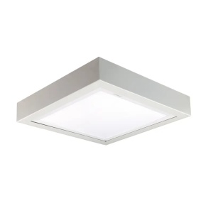 20099 - GESICHT PLAPHONE PRO PANEED 300X300mm