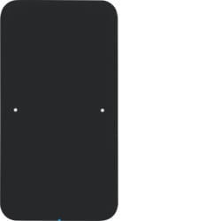 75141865 - Capteur tactile R.1 X1, Black Glass Hager Ean: 4011334381006