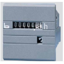 Compte des heures mécaniques 48x48mm 24V AC (631.2)