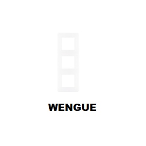 EFAPEL - 42930TWG ESPELHO TRIPLO WENGUE - 5603011642990