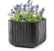 KETER 223725 CAIXA CUBO POTE 50L