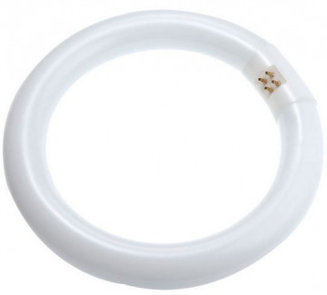 Lâmpada LED T9 32W Circular 6400K