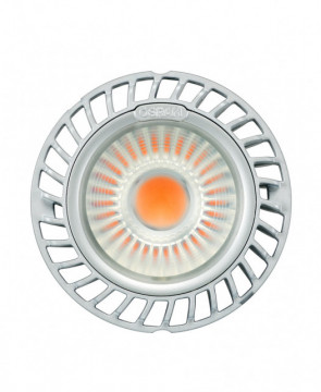 OSRAM LEDVANCE - 4052899541498 - LED-Module PL-CN111DC-COB-1800-940-40D-G1 18 W 1700 lm