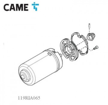119RIA065 - 8050456028556 - GRUPO MOTOR - FROG-J MYTO