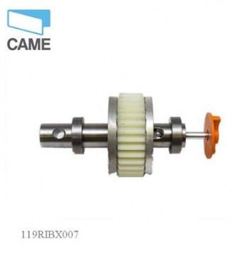 119RIBX007 – 8050456029485 – SLOW CAME – BX