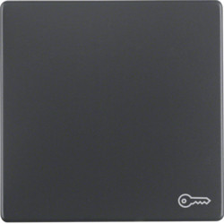 16206066 - Q.x - tecla simples simb.chav, antrc HAGER EAN:4011334379836