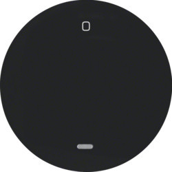 16242045 - R.1/R.3 - tecla "0" c/visor, preto HAGER EAN:4011334366478