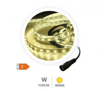 204030019 - 8433373064324Roll-LED-Streifen 5M 12W/M 4000-4500K IP44 24V