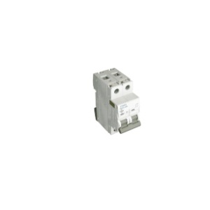 55102 2du Mt Breaker - 2P - 10K - D - 2A 5603011547363