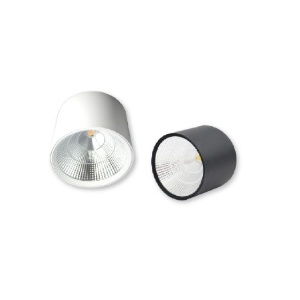 ESL4018WW -BR - 100113100023 - Applique du plafond Round LED 12W 2700K IP44 White