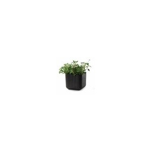 Maceta Cube Box 21,5L