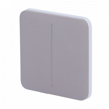 Taktile Panel für Doppellichtschalter - AJ -Lightcore -21g -Kompatibilität - LED -Verkauf - Tastplatte ohne Kontakt - Grau - Ajax - LightSwitch Solobutton