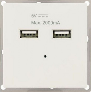 TOMADA 2x USB cargador ENCASTRAR 5V Máximo.2000A