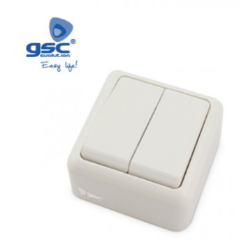 000201027 - 8433373010277Doppelflächenschalter