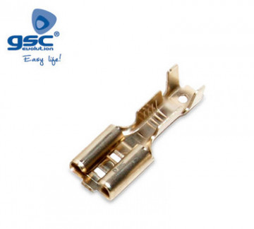 000303636 - 8433373036369 50 TERMINALS FASTON FEMALE 4.1*16.0*6.6