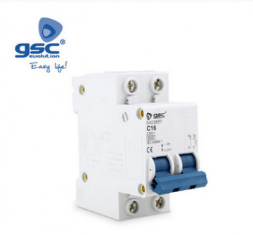 000403682 - 8433373036826 Magnetermic Double 2p 20a