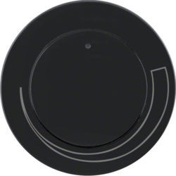 11372035 - R.1/R.3 - Control Speed ​​Button, Black Hager Ean: 4011334370864
