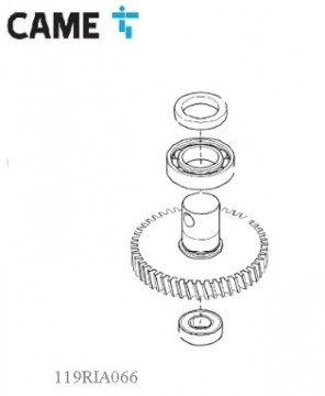 119RIA066 - 8050456028563 - LANGSAME ACHSE - FROG-J MYTO