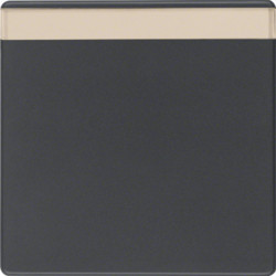 16266086 - Q.x - llave p.-ETIQ., antracita HAGER Ean:4011334380184