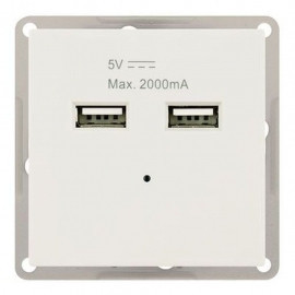 2x USB 5V Max Module. 2000MA