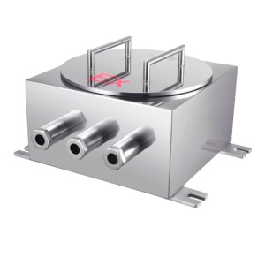 Caixa de controlo ATEX Raythink - ATEX Ex d IIC T6 Gb/Ex tD A21 IP68 T80℃ - Aço inoxidável 304 - Grau de proteção IP68
