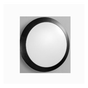 PLAFOND OPAL PRETO ALYCE 1x E27 Ø300x91mm IK10 IP65