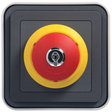 WNC032 - Cubyko S - Interrup.Emerg. avec clé, Hager Gray Ean: 3250617170321