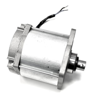119RID095 - 8050456031303 - GRUPO MOTOR - F1024