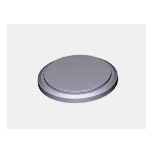 119RIR443 - - BATTERIA CR2450