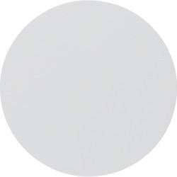 16202089 - R.1/R.3 - llave simple, blanco HAGER Ean:4011334365303