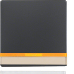 16286086 - Q.x - tecla p.-etiq. c/visor, antrac HAGER EAN:4011334380214