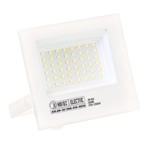 8680985597935-ASLAN-30 30W blanc 6400k 175-250v LED Proj.