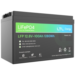 Batería de expansión - Capacida 1280Wh - LiFePO4 12V / 100Ah - 3000 ciclos de vida - Subasta 16 unidades en paralelo - IP 65