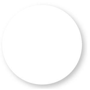 ESL9002 -BR - 100101000131 - Fin de profil 22x6 mm avec diffuseur mat blanc