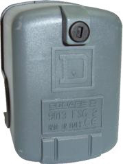 FSG2 Schneider Eléctrico Presión FSG 4.6 bar - escala ajustable 2 límite - 2nc MONOFÁSICO 1/4"