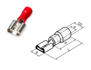 000303621 - 8433373036215BOLS 50U PLIVE PLIGE - 5,6 / 1,5 mm rouge