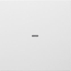 80960299 - Cubrir p/ BP Knx S.x 1 llave c/BCU, br mt HAGER Ean:3250617155649