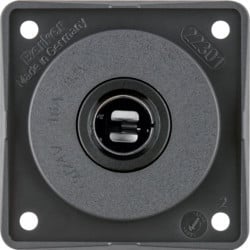 945172505 - Intersecarse - salida 12V, antracita Té de hierbas HAGER Ean:4011334241034