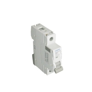 EFAPEL - 555801IT-SCHALTER - 1P - 250/415V~ - 80A - 5603011061692