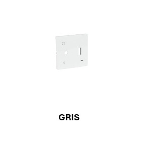 EFAPEL - 90856tis Centre for Central USB + BT + 3,5 mm Gris - 5603011646394