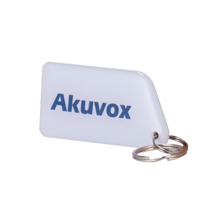Holder de clé Numéroté de proximité - ID par radiofréquence - MF passif | Résine époxy lumineuse - haute fréquence 13,56 MHz - Dimensions: 56 (AN) x 28 (al) mm - sac de 10 unités