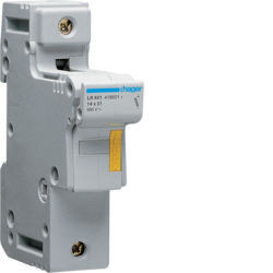 LR601 - Interruttori Secc. 50A 1P 1.5M HAGER EAN:3250614186011