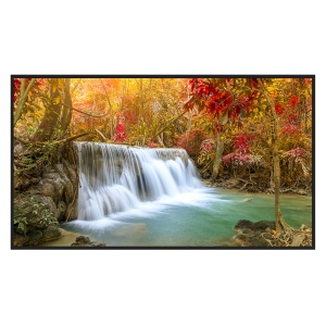 Monitor digital sinalética 65" 4K - Sinalética digital local USB - Sinalética digital FocSign (opcional) - Funcionamento 24/7 - Suporte de parede incluído - Android 13